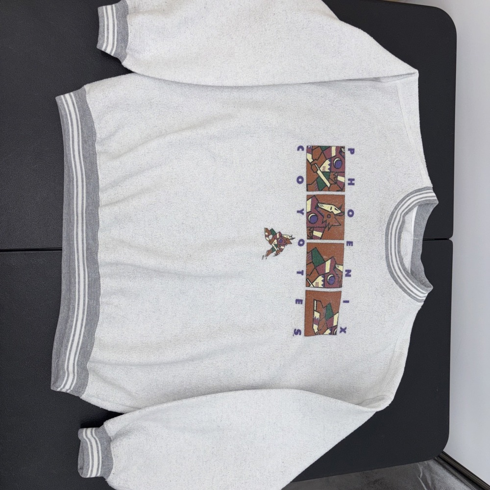 Vintage 90s Phoenix Coyotes NHL Gray Crewneck Sweatshirt Large Soft Gear